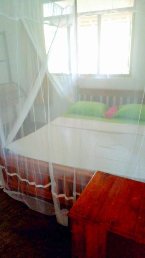 Talalla Bay Inn Beach Bangolow Bagian luar foto